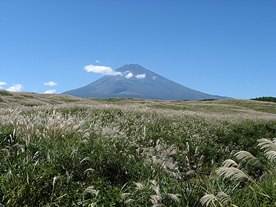 富士とススキ 八雲エンライトメント
